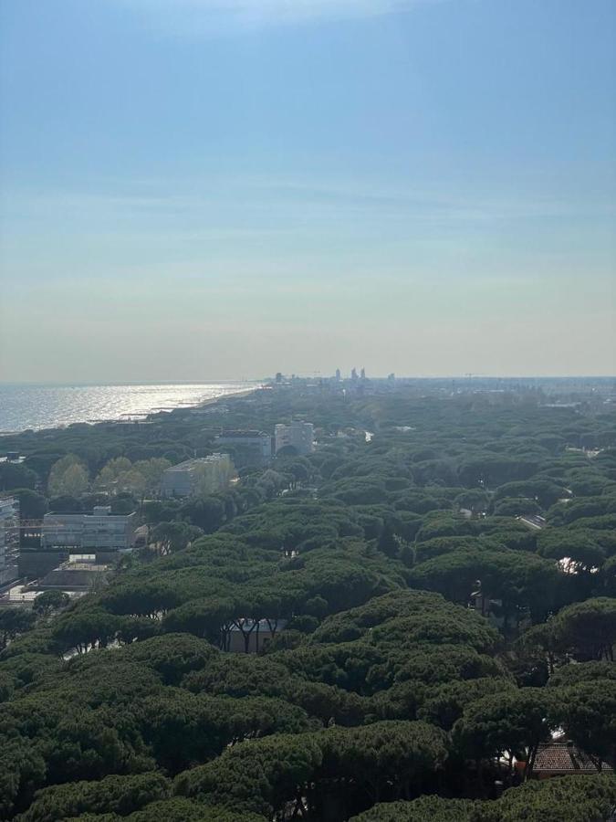 Pineta- Solo Per Famiglie- Walterigato Lido di Jesolo